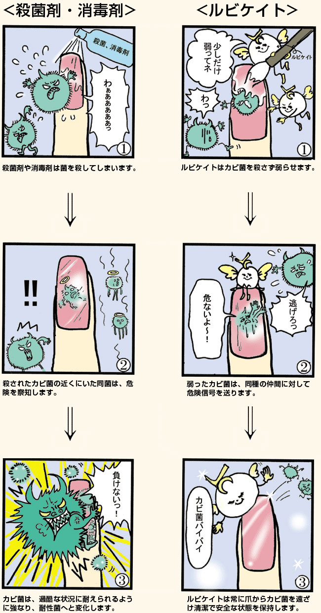 ルビケイトと殺菌・消毒剤の違い